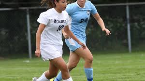 Girls soccer preview: Team-by-team preview capsules