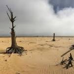 Cape Town water supply near