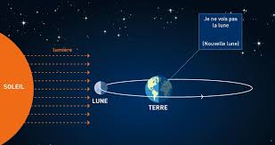 Bonjour nane, le temps mis par chaque planète pour effectuer une révolution autour du soleil est appelé période sidérale. Pourquoi Parle T On De La Super Lune 1jour1actu Com L Actualite A Hauteur D Enfants