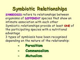 Symbiotic Relationships Symbiotic Relationships Relationship Relationship Worksheets