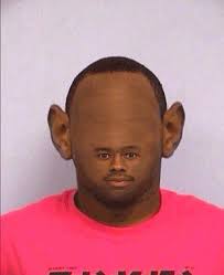All post should be somewhat related to tyler. Pin By Carmen Peron On M E M E Meme Faces Tyler The Creator Really Funny Memes