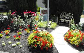 Fresh roses in stock everyday flowers for you is a proud supplier of fresh roses to the mt. Hawthorn Mt Vernon Oh