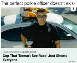 The Perfect Police Officer Doesnt Exist Cop That Doesnt See Race Just Shoots Everyone Meme Memezila Com