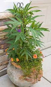 Pin On Get Potted