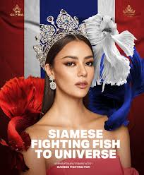 Paweensuda drouin, miss universe thailand 2019, crowned amanda obdam as her successor at the end of the event. Thai Pageant Fans Fighting Mad Over Stolen Fish Costume Coconuts Bangkok