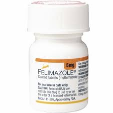 For the management of hyperthyroidism in cats. Felimazole For Cats 100 Ct Free Shipping Entirelypets Rx