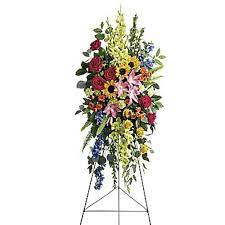 Check spelling or type a new query. Bright Standing Spray Roseville Florist Ambience Floral Design Local Flower Delivery Roseville Ca 95678