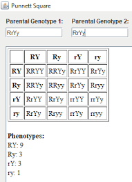 Example solves a two trait (two factor) test cross which can then. 3 Best Free Punnett Square Calculator For Windows