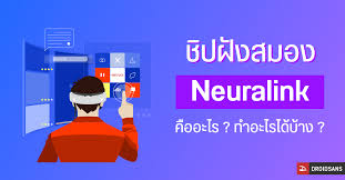 ข้อมูล (data) คือ ข้อเท็จจริงหรือสาระต่าง ๆที่เกี่ยวข้องกับงาน. à¹€à¸—à¸„à¹‚à¸™à¹‚à¸¥à¸¢ à¸Š à¸›à¸ à¸‡à¸ªà¸¡à¸­à¸‡ Neurotechnology à¸„ à¸­à¸­à¸°à¹„à¸£ Neuralink à¸„ à¸­à¸­à¸°à¹„à¸£ à¸¡ à¸›à¸£à¸°à¹‚à¸¢à¸Šà¸™ à¸­à¸¢ à¸²à¸‡à¹„à¸£à¸ à¸šà¸¡à¸™ à¸©à¸¢ à¸š à¸²à¸‡ Techfeedthai