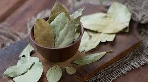 Onun dışında uygun ortam yaratıldıktan sonra karadeniz kıyılarında, marmara kıyılarında ve ege kıyılarında da; Defne Yapraginin Cilde Ve Saca Faydalari Nelerdir Guzellik Haberleri