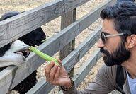 Santa Monica Observer Health