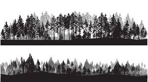 Treeline Header Vector Id538490552 557 309 Doga Dovmeleri Vucut Sanati Photoshop