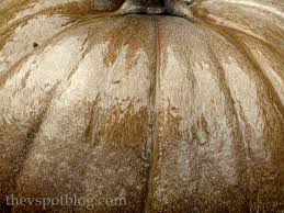 Spray Painted Metallic Pumpkins Take Halloween Pumpkins Into Thanksgiving The V Spot