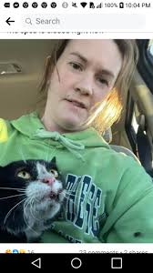 Cat Escapes After Car Accident