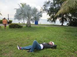 Formerly a landfill site, lorong halus wetland sits next bridge to lorong halus wetland, singapore. Day 16 Pulau Semakau The Flying Circus Project 2013