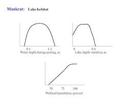 draft performance indicator functions muskrat wetland birds