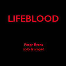 نتیجه جستجوی لغت [lifeblood] در گوگل