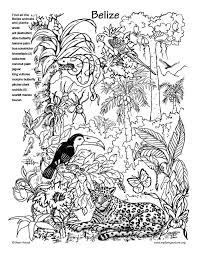 The underside of the blue. Animal Habitat Coloring Pages Google Search Rainforest Animals Animal Coloring Pages Forest Coloring Pages
