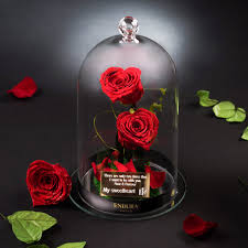 The forever roses are 100% natural and preserved roses that will stay fresh for up to two years with little or no maintenance. Preserved Roses The Everlasting Forever Rose Endura Roses