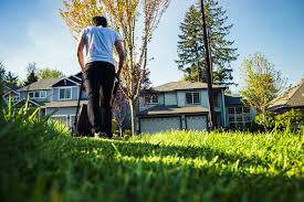 How High Should Grass Be Cut The Exact Measurement