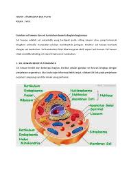 Check spelling or type a new query. Gambar Sel Hewan Dan Tumbuhan Beserta Penjelasannya Pdf