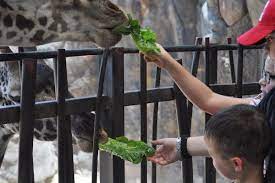 Go To Museums Zoos For Free Where Ever You Go Houston Museum Reciprocal Programs Explore Houston Houston Museum Fort Worth Museum