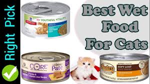 Your furry friend will be healthy and happy eating these quality products. Cat Food 5 Best Wet Food For Cats Best Wet Cat Food 2018 Youtube