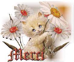 Merci, merci beaucoup! - Blog de Cendrillon5962