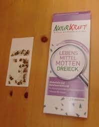 lebensmittelmotten bemerken und bekampfen frag mutti lebensmittelmotten lebensmittel motte