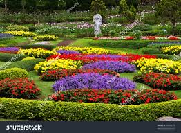 Flower Garden North Thailand Stock Photo Edit Now 69666679