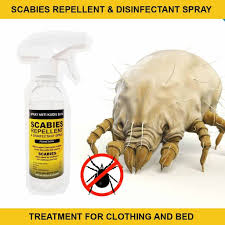 Dan kutu itu boleh ada di tuala, cadar, selimut, mainan anak. Scabies Repellent Spray Anti Kudis Buta Home Facebook