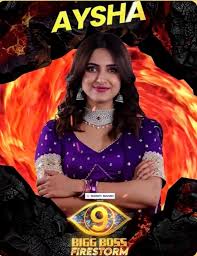 Bigg Boss Telugu 9 Contestant Aysha's Unpredictable Journey