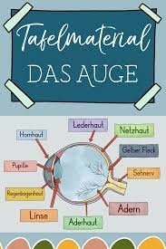 Außen and innen are simply the outside and inside of an object. Das Auge Tafelmaterial Auge Von Aussen Innen Unterrichtsmaterial In Den Fachern Biologie Naturwissenschaften Sachunterricht Grundschule Sachunterricht Grundschule Ideen Fur Das Klassenzimmer