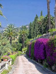 Decouvrez Menton Sur Le Site De L Office De Tourisme De Menton Www Tourisme Menton Fr Utilisation Libre De Beautiful Places Nature Nice France French Riviera