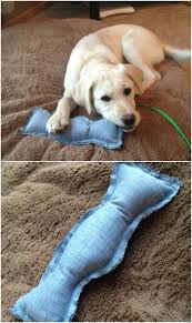 20 Jouets A Fabriquer Soi Meme Rien Que Pour Vos Chiens Jouets Pour Chiens Faits Maison Manteau Pour Chien Jouet A Fabriquer Soi Meme