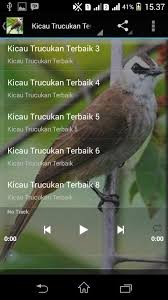 Gambar burung trucukan garuda hd download now cara melatih trucukan. Kicau Burung Trucukan Gacor For Android Apk Download