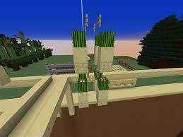 Cactus farming is very easy. Builder Needed For Cactus Farm Empire Minecraft