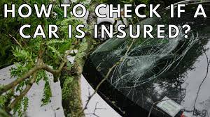 How To Check If A Car Is Insured? | National