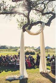 Imgur Com Tree Wedding Ceremony Oak Tree Wedding Tree Branch Wedding Arch