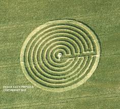 Crop Circle At Sunnyside Nr Redlynch Somerset Reported 22nd June 2015 Crop Circles Crop Circles Photography Circle