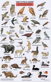 Sji Macs Field Guide Side 2 Jpg 634 1024 English Vocabulary English Fun English Grammar