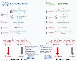 Gold detector price is most important factor considered by user when he want to buy a gold detector device to find gold treasures. Frontiers Development And Validation Of A Rapid Single Step Reverse Transcriptase Loop Mediated Isothermal Amplification Rt Lamp System Potentially To Be Used For Reliable And High Throughput Screening Of Covid 19 Cellular And Infection Microbiology