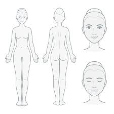 Male and female body chart male and female body chart, front and back view. Orasnap Anatomy Human Body Outline Drawing