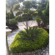 Including paving, decking, walling, fencing & planting. Front Yard Grass Garden Landscaping Service Coverage Area 10000 Square Feet Id 21110453355