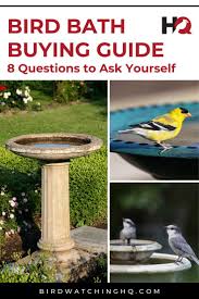 Birds Of A Feather Cast 2020 The Bird Bath Buying Guide 8 Questions To Ask Yourself 2020 In 2020 With Images Bird Bath Backyard Birds Attract Wild Birds