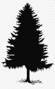 All silhouette clip art are png format and transparent background. Pine Tree Tree Silhouette And Clip Art On 2 Pine Tree Silhouette Png Transparent Png 1668x2601 47603 Pngfind
