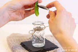 Aloe vera ist eine heilpflanze, die besonders viel feuchtigkeit spendet. Schnelle Aloe Vera Creme Selber Machen Fur Trockene Haut