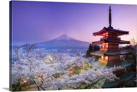 Japan Yamanashi Prefecture Fuji Yoshida Chureito Pagoda Mt Fuji And Cherry Blossoms Wall Art Canvas Prints Framed Prints Wall Peels Great Big Canvas