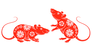 Welcome to the rat race! What The Year Of Rat Holds For China Belt Road News