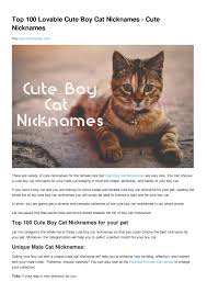 If your boy is serious, a tough guy, or the perfect gentleman. Top 100 Lovable Cute Boy Cat Nicknames Cute Nicknames By Cute Nicknames Issuu